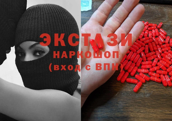 прущие грибы Алзамай