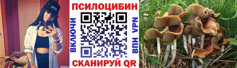 Псилоцибиновые грибы прущие грибы  дарнет шоп  Аткарск 