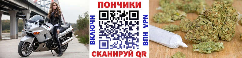 купить   Аткарск  Каннабис план 